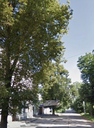 Центр міста поруч з зупинкою - фото 1