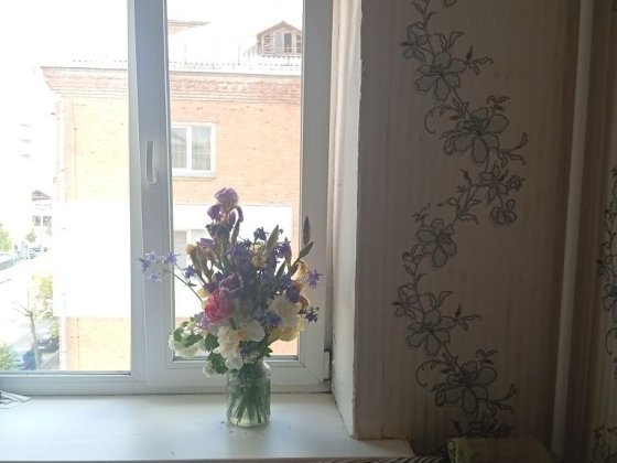 Кімната в центрі міста Чернигов