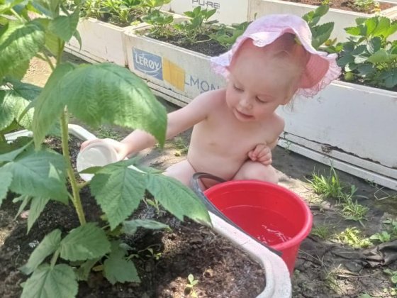 Продам дачу в центрі міста Коммунарівець Кривий Ріг