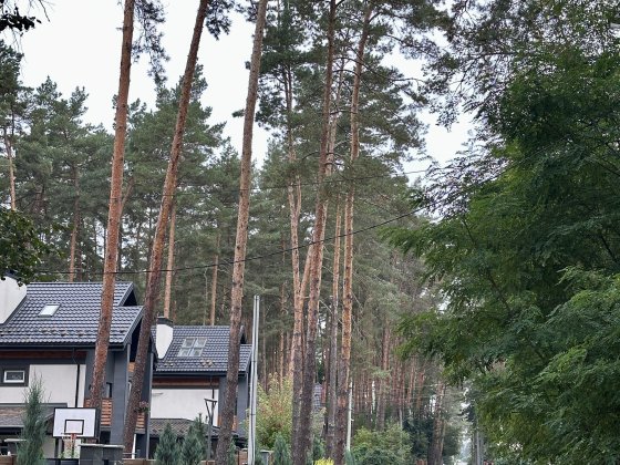 Найкращий танхаус в Ірпені Ірпінь