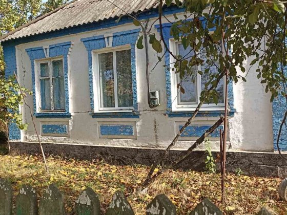 Будинок 25 км від м.Кривий Ріг, селище «Вільне», Апостольський район. Кривой Рог