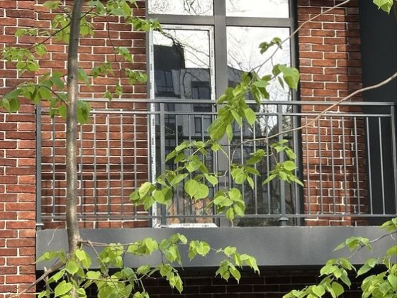 Такнхаус біля парка Незнайко Ірпінь