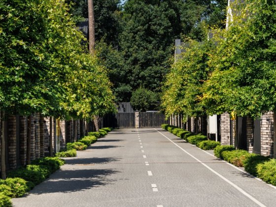 Дуплекс з РЕМОНТОМ в центрі міста! Буча