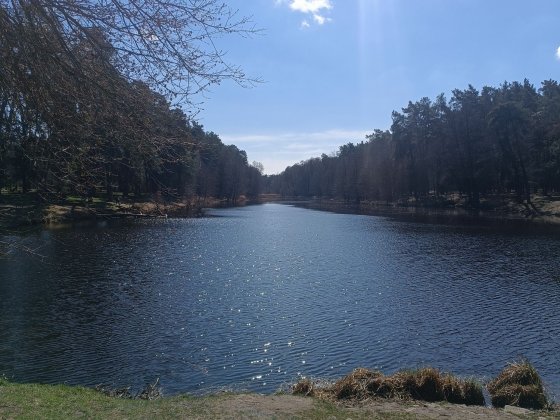Продаю комнату в общежитии .Пуща-Водица, Горенка