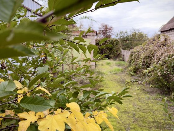 Продам ділянку у центрі міста з невеликим домом Кривий Ріг