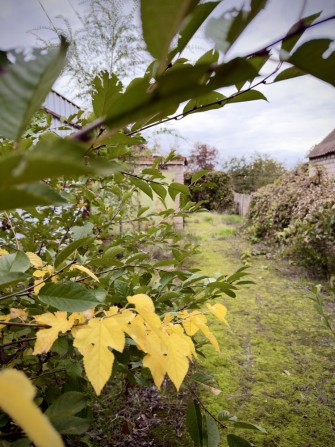 Продам ділянку у центрі міста з невеликим домом - фото 1