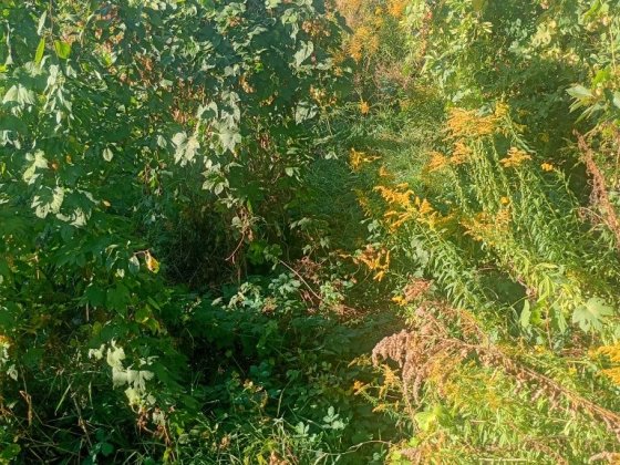 Продам дом  частный Суми