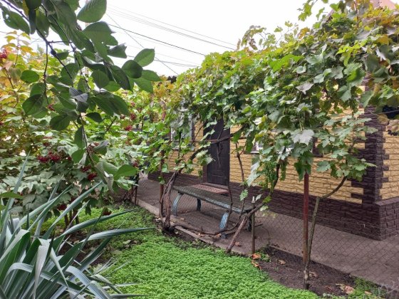 На Ласточке  ул.1-ая Пензенська Кривий Ріг