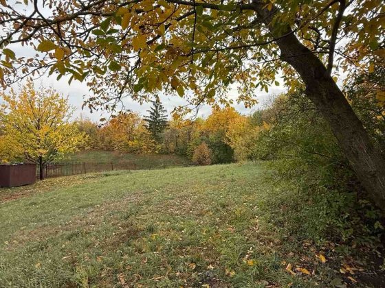 ПРОДАЖ! Будинок з ділянкою, Сем'янівка. Центр! Полтава