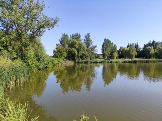 Дача с.Романівка Тернополь