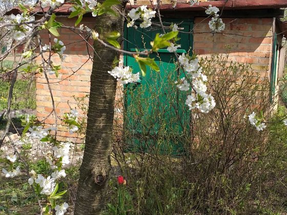 Продам дачный участок с небольшим домиком Полтава