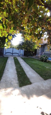 Терміново продам господарство р-н Хотинської ( Ткачука)! - фото 1