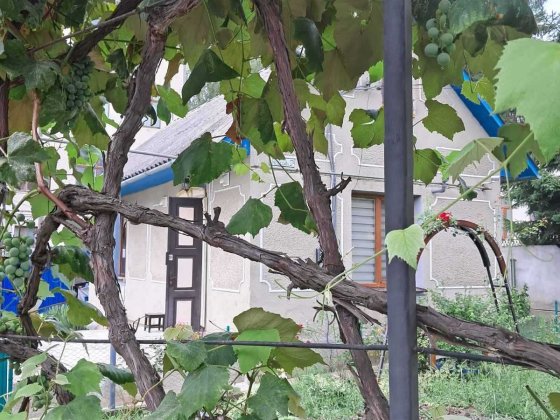 Продаж будинку від власника Чернівці