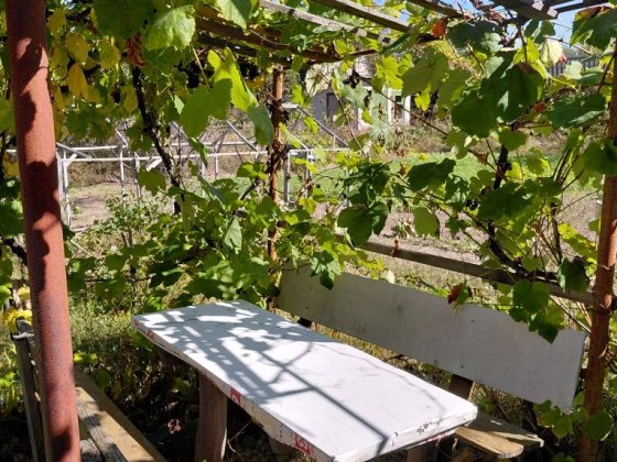 Дача, р-н Стара Подусівка,  СТ "За Мир" Чернігів