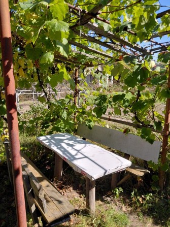 Дача, р-н Стара Подусівка,  СТ "За Мир" - фото 1