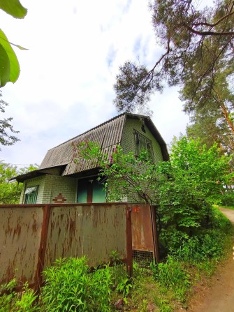 Затишна дача біля лісу в районі ЗАЗу, MZ - фото 1