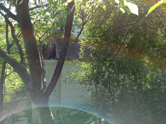 Продам дачу на рощі Чернівці