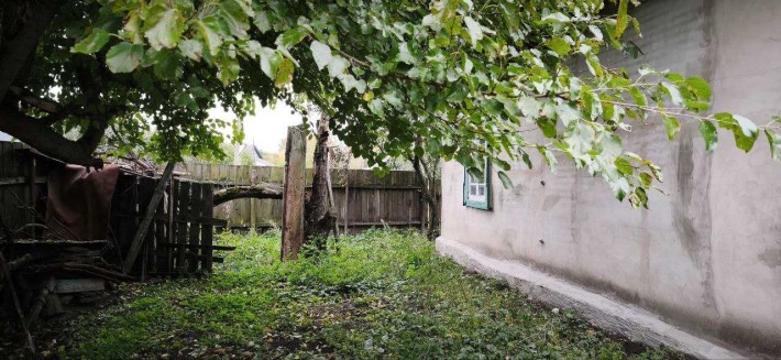 Продам будинок в Березна - фото 1