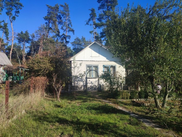 Продам дачу в Пролетарському Гаю, урочище Святе, перша лінія від лісу - фото 1