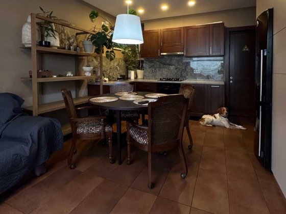 Частина будинку/ таунхаус . в самому центрі Міста. Печерськ. Киев