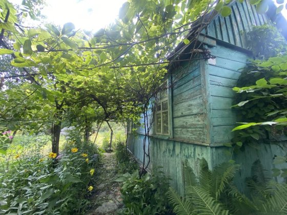 Дача в Чернігові СТ «Садовод» Чернигов