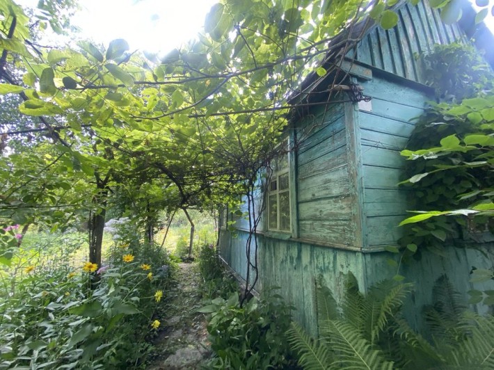 Дача в Чернігові СТ «Садовод» - фото 1