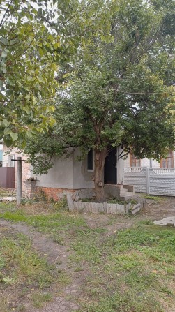 частина будинка на Лісковиці - фото 1