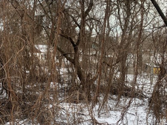 Продається дача на обласній лікарні Чернігів