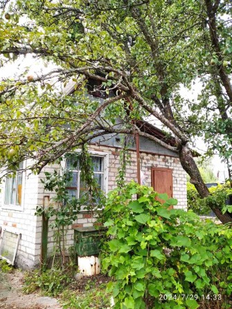 Дача Кирп.Дом 7.1сот.(Прив)Свет,Вода.Рядом.Десна. Шир.Заезд. Жавинка. - фото 1