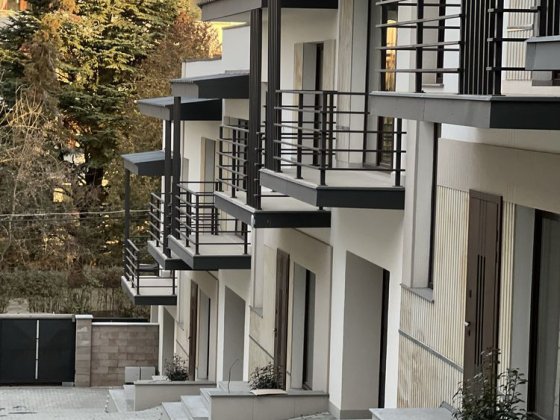 Котедж преміум сигменту у цетрі міста Ужгород