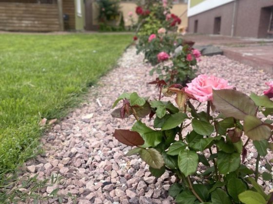 Продам отличный дом в Чернигове Чернигов