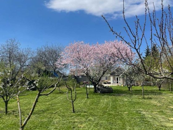 Продажа дома с большим участком ул. Стародобцева, р-н ул. Передовая Днепр