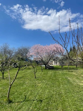 Продажа дома с большим участком ул. Стародобцева, р-н ул. Передовая - фото 1