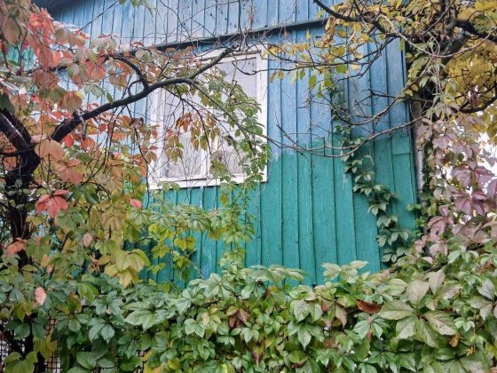 Продаж 2п дачного будинку Оболонь СТ Зелений Бір. Київ