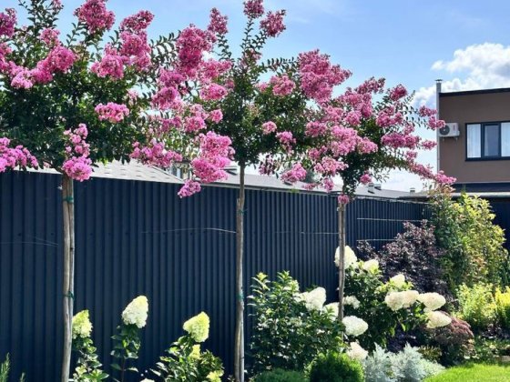 Продаж неперевершеного авторського будинку Ужгород