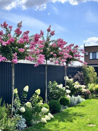 Продаж неперевершеного авторського будинку - фото 1