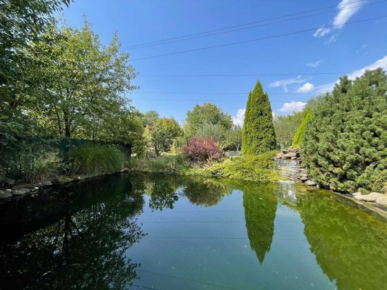 Будинок «заходь і живи» з великою ділянкою Ужгород