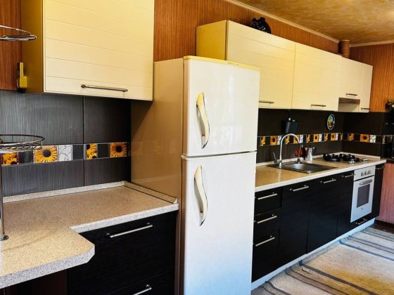 Продам будинок в центрі Дніпра, вул О. Кониського Дніпро