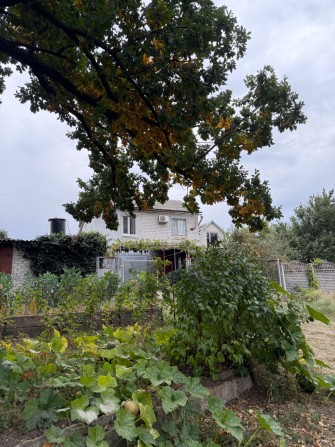 Продам будинок Великий Луг - фото 1