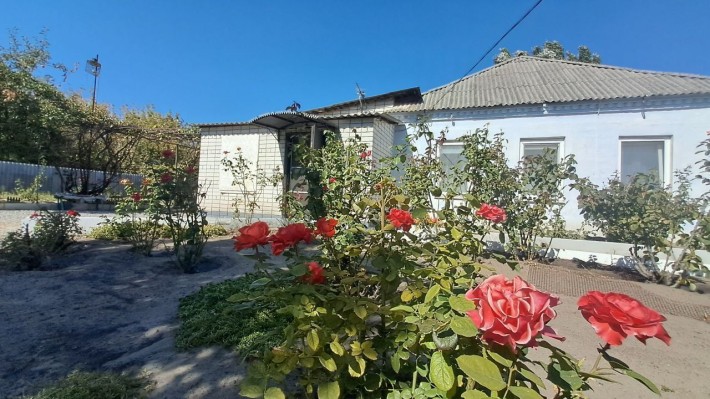 Великий дім для великої родини, Лівий берег, АНД р-н - фото 1