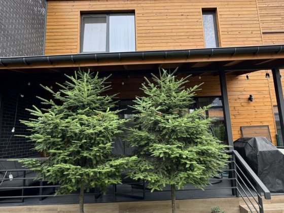 Продам таунхаус Comfort City Lagoon Дніпро