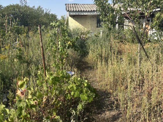 Продам дачу Пр.Богдана хмельницкого 164 д Дніпро