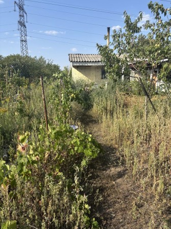 Продам дачу Пр.Богдана хмельницкого 164 д - фото 1