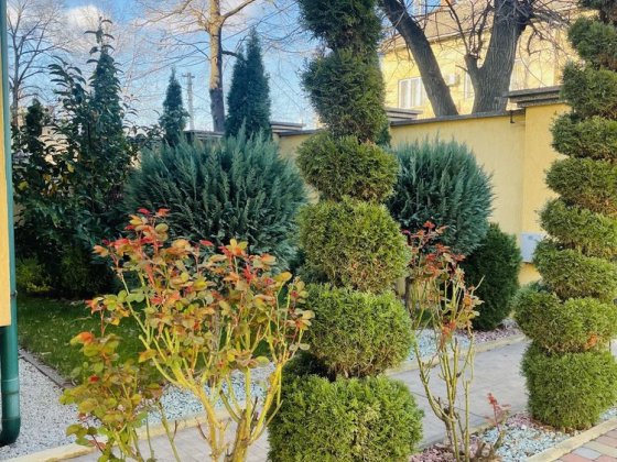 Продаж будинку в центрі міста Ужгород