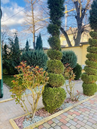 Продаж будинку в центрі міста - фото 1