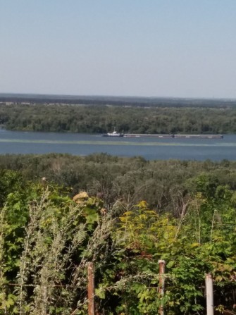 Продам дачу с красивым видом на реку - фото 1