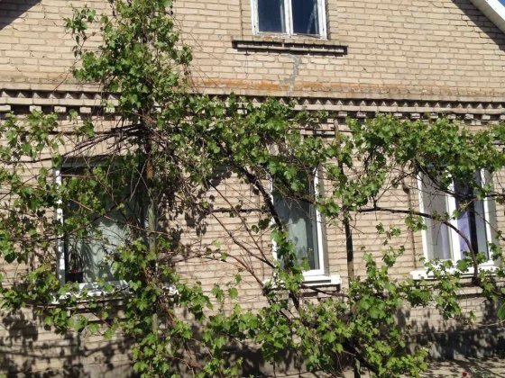 Продаётся пол дома на Бородинском