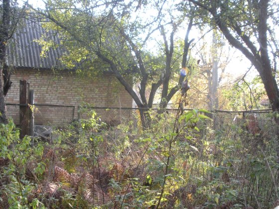 Продам дом, проспект Берестейский (Победы),Киев, м.Житомирская Киев