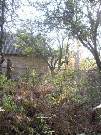 Продам дом, проспект Берестейский (Победы),Киев, м.Житомирская - фото 1