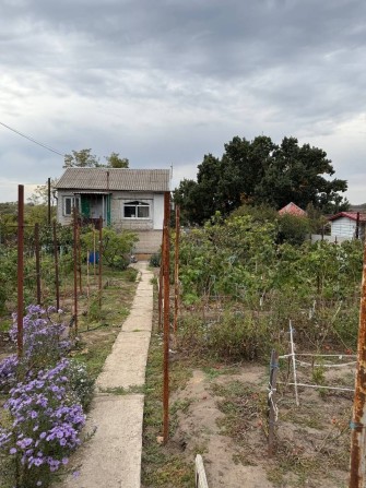 Продам затишний будинок  Великий Луг - фото 1